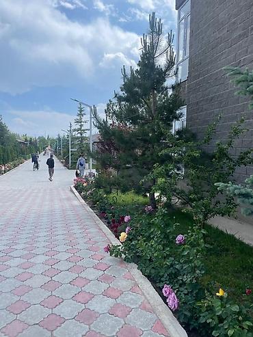 Аренда квартир на Иссык-Куле: Аренда квартиры на Иссык-Куле, Париж, Чок-Тал, 4 места, Цена Целиком за жилье — 11