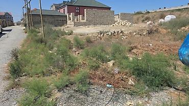 dübəndidə torpaq: 7 sot, Tikinti, Mülkiyyətçi, Kupça (Çıxarış) — 2