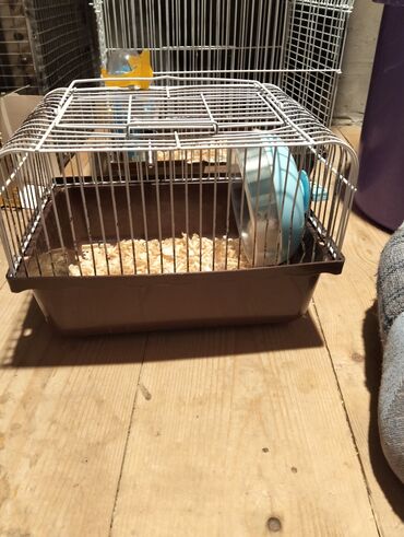 Hamster qəfəsi 8 manat içindekilerle bir