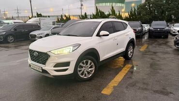 аренда авто с последующим выкупом в бишкеке: Hyundai Tucson: 2019 г., 2 л, Типтроник, Дизель, Кроссовер