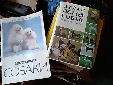 библия: Собрание книг серии «Жизнь замечательных людей» (ЖЗЛ) и сопутствующих — 2