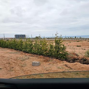 Долгосрочная аренда домов: 240 м², 6 комнат, Утепленный, Теплый пол, Видеонаблюдение — 74