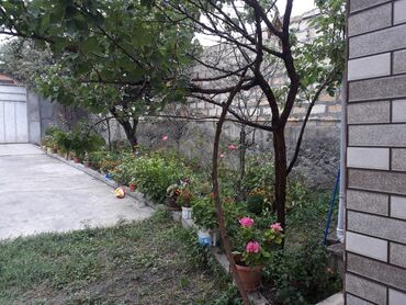 Həyət evləri və villaların satışı: 6 otaqlı, 280 kv. m, Kredit yoxdur, Orta təmir — 6