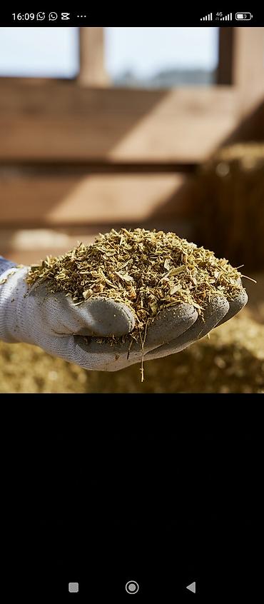 Корма для с/х животных: Кукурузный силос 7 сом + доставка сенаж 8000 сом + доставка качества — 1