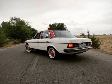 машина лонос: Mercedes-Benz 300: 1982 г., 3 л, Механика, Бензин