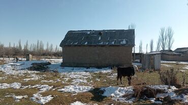 прод дом алтын ордо: Үй, 55 кв. м, 3 бөлмө, Менчик ээси, Эски ремонт