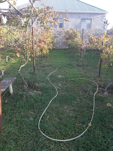 Torpaq sahələrinin satışı: 3 sot, Tikinti, Kupça (Çıxarış) — 2