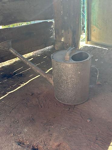 Детские скейты: Детский скейт, Вейвборд — 13