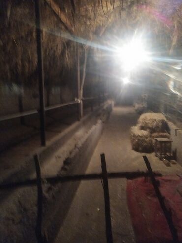 Продажа домов: Дом, 12 м², 4 комнаты, Собственник — 22