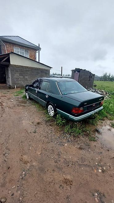 монго: Mercedes-Benz W124: 1990 г., 3 л, Механика, Дизель, Седан — 2
