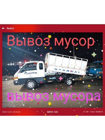золотистая шиншилла: Вывоз мусора вывоз мусора Вывоз Вывоз мусора вывоз мусора Вывоз