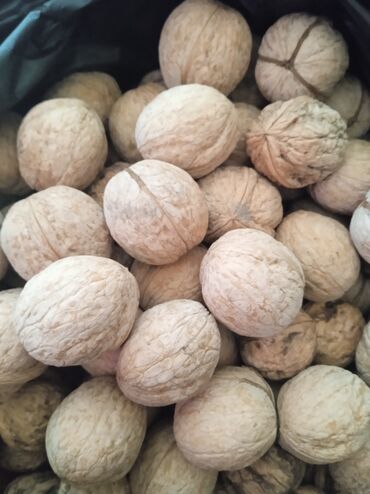 Сухофрукты, орехи, снеки: Продам орехи.
2 вида.
Цена за1кг 80 сом 
20кг