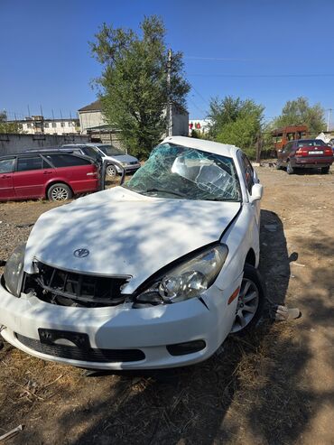 радиаторы нексия 2: Toyota Windom: 2004 г., 3 л, Автомат, Бензин, Седан