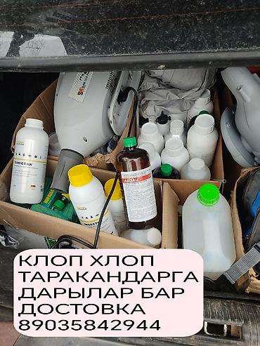 стирка ковров токмок: Дезинфекция, дезинсекция, | Клопы, Блохи, Тараканы, | Транспорт, Офисы, Квартиры — 4