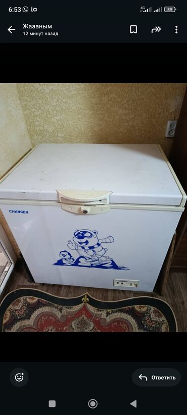 Морозильные шкафы, лари: Морозильный ларь CHANGER с верхней крышкой. Характеристики и