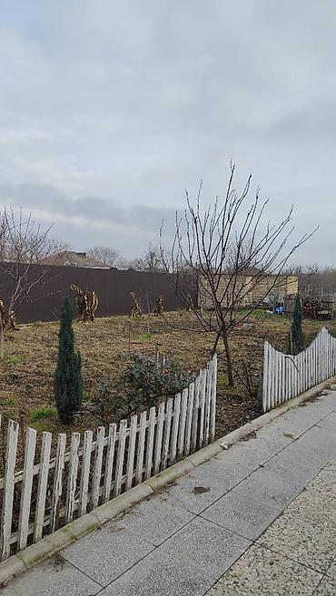 Həyət evləri və villaların satışı: 8 otaq, 172 kv. m, Orta təmir -da lalafo.az — 12 Həyət evləri və villaların satışı: 8 otaq, 172 kv. m, Orta təmir — 12