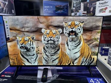 Телевизоры: Телик Телевизоры Samsung Android 13 с голосовым управлением, 43 at lalafo.kg — 28 Телевизоры: Телик Телевизоры Samsung Android 13 с голосовым управлением, 43 — 28