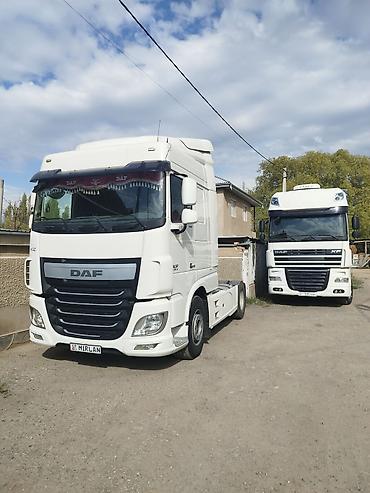 Тягачи: Тягач, DAF, 2014 г., Тентованный — 7