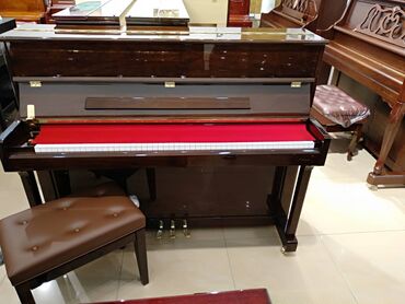 Piano və fortepianolar: Akustik Pianinolar - Dünyaca məşhur markalardan pianolar Hörmətli