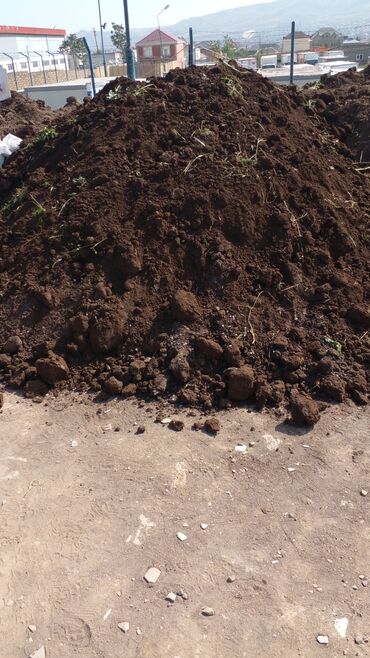 Ağaclar: Hər vaxtınız xeyir olsun dəyərli müştərilərimiz. Bizə vaxt ayırdığınız — 12