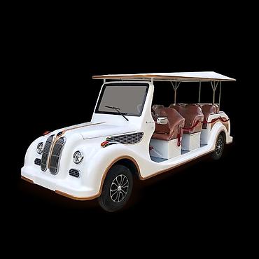 защитник: Microcar : 2025 г., Автомат, Электромобиль — 2