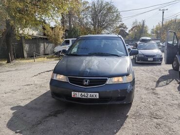 продаю связи с переездом: Honda Odyssey: 2000 г., 3 л, Автомат, Бензин, Минивэн