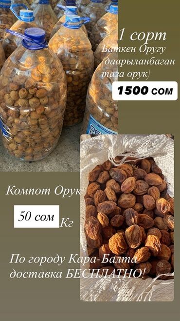 куплю мясо конины: Сушеные абрикосы первого сорта, выращенные в Баткене, предлагаются в