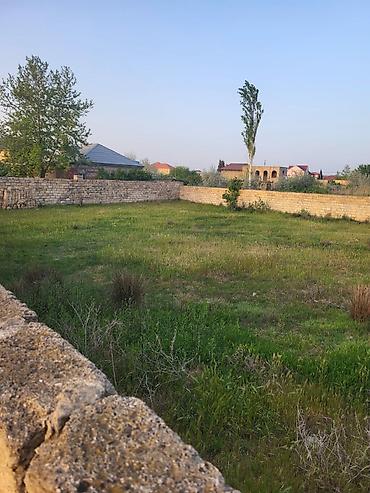 Torpaq sahələrinin satışı: Tikinti — 6