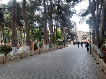 Yeni tikili: 2 otaqlı, Yeni tikili, 80 kv. m — 13