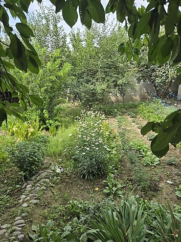 Навесы: Навес, Другая форма, Дерево, Другой материал — 8