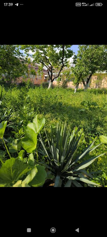 Продажа домов: Дом, 1441 м², 8 комнат — 25