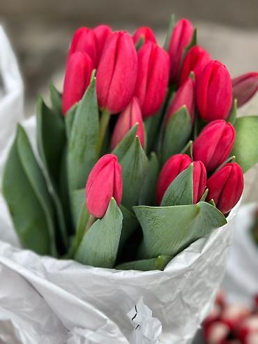 Букеты из живых цветов: Тюльпаны срезанные — букетные сборки. - Варианты окраски: насыщенный — 9