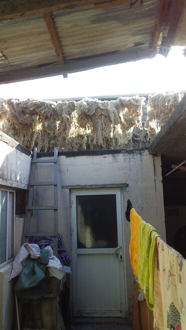 Yun: Yun satişi satışda yuyulmuş şamaxı yunu var qiymətlər keyfiyyətə — 25