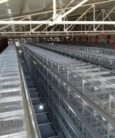 Qidalandırıcılar: Yem qabı, Yem üçün, Quşlar üçün, Rayonlara çatdırılma, Ünvandan götürmə, Pulsuz çatdırılma — 18