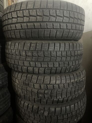 скупка шина: Шины 205 / 55 / R 16, Зима, Б/у, Комплект, Легковые, Япония, Dunlop