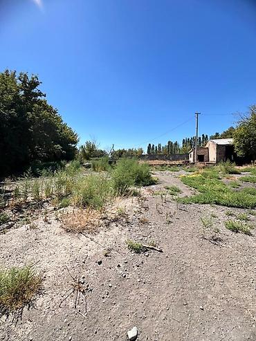 Продажа участков: 25000 соток, Красная книга — 12