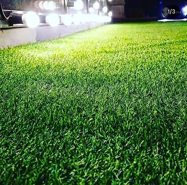 qazon xalca: ✨ Keyfiyyətli süni qazon satışda! ✨ Həyət, balkon, bağça, obyekt və — 9