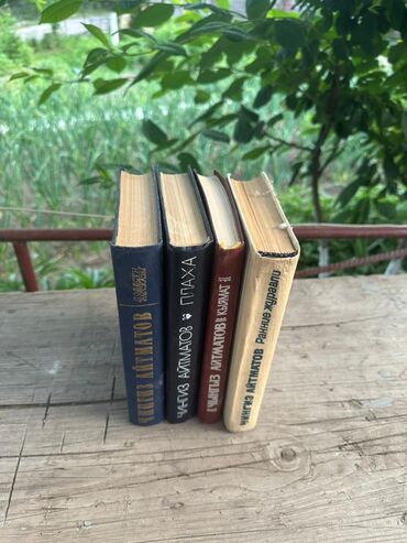 Художественная литература: Классика, На русском языке — 18