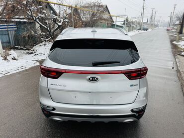 Kia: Kia Sportage: 2019 г., 2 л, Автомат, Дизель, Кроссовер — 6
