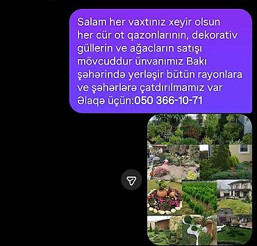 car parking maşın satışı: Pejaj və landşaft dizaynı xidməti - Həyətyanı sahələrin, bağların və — 10