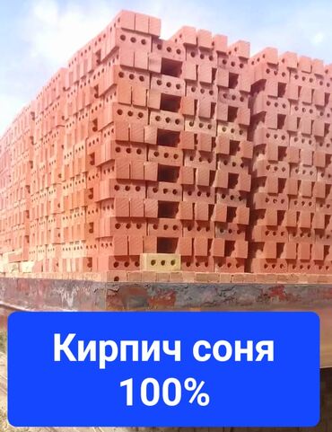 керпичи: Курулуш, Бышырылган, M100, Тешиктери менен