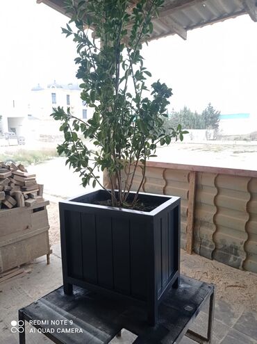 Bitkilər üçün dibçəklər: Bir başa sexdən.Sex qiymətinə. ♦️Endrim 2025 ▶️İstenilən modeldə -da lalafo.az — 8 Bitkilər üçün dibçəklər: Bir başa sexdən.Sex qiymətinə. ♦️Endrim 2025 ▶️İstenilən modeldə — 8