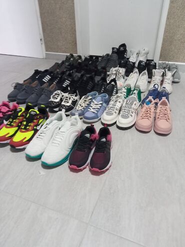 Patike i sportska obuća: Adidas, 45, bоја - Šareno