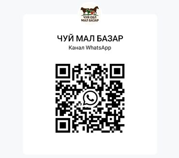 Другие с/х животные: ЧУЙ МАЛ БАЗАР — канал WhatsApp Описание: - Тематический канал о