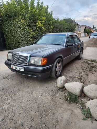 Mercedes-Benz: Mercedes-Benz 300: 1990 г., 3 л, Автомат, Бензин, Седан