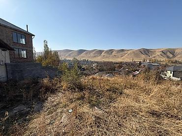 с дружба: 3 соток — 3