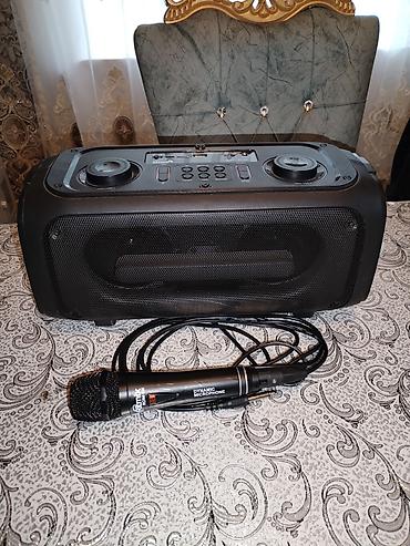 elg kalonka: Eltronic ART.20-40 portativ akustik sistemi + simli dinamik mikrofon — 2