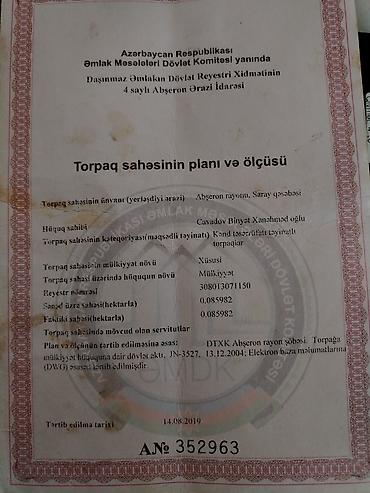 cıxarış: Kənd təsərrüfatı, Kupça (Çıxarış) — 3