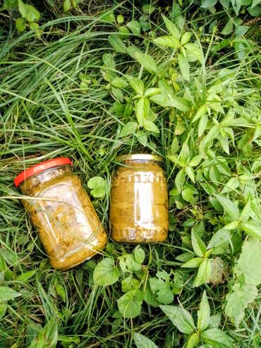 чай для похудении из египта на 100 оригинал: Şəkinin üzüm yarpağı 🌿 Dolmalığa super dadlı yarpaq 👍🏻 Tutumu : ( 740