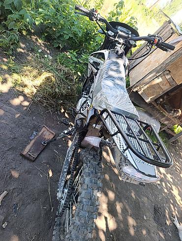 roma: Эндуро/питбайк ODesm 300cc - Двигатель: одноцилиндровый 4‑тактный — 2